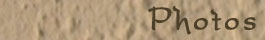 Photos Link